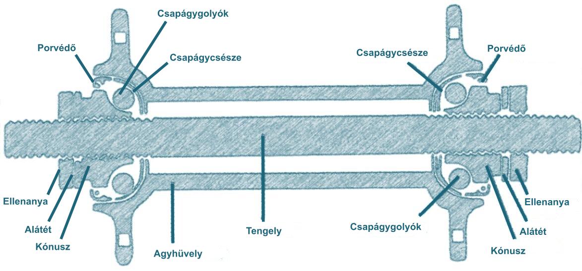 ElsőagyR