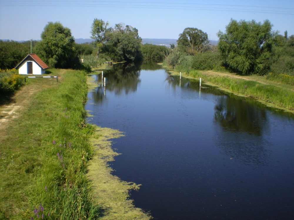 milyen a balaton kor 2021 ben 01