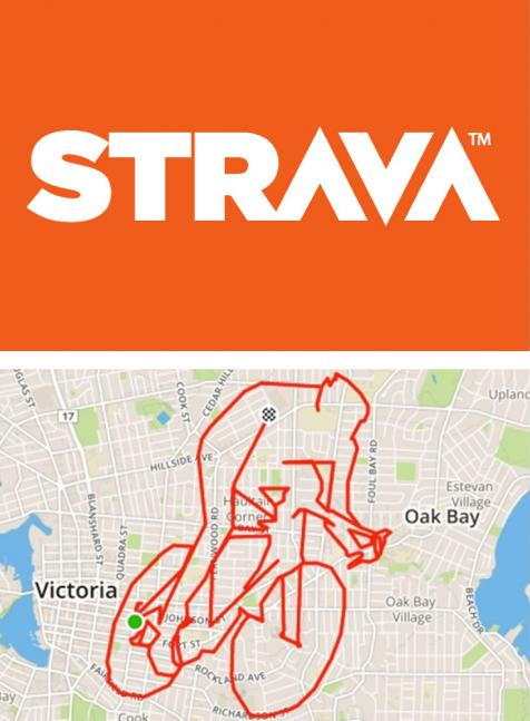 lemond a strava vezerigazgatoja es tarsalapitoja michael horvath