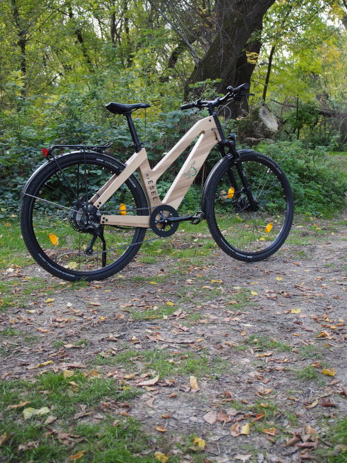 my esel e cross komfort pro 02