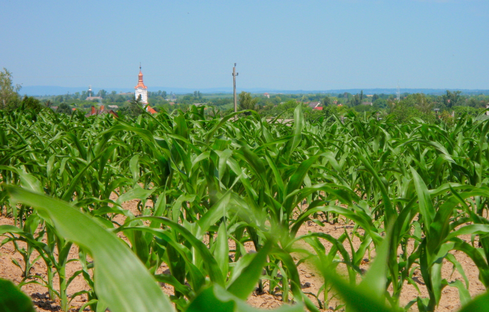 balaton kerules 360 km en keresztul 10