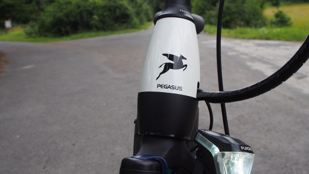 pegasus premio evo 10 lite 07