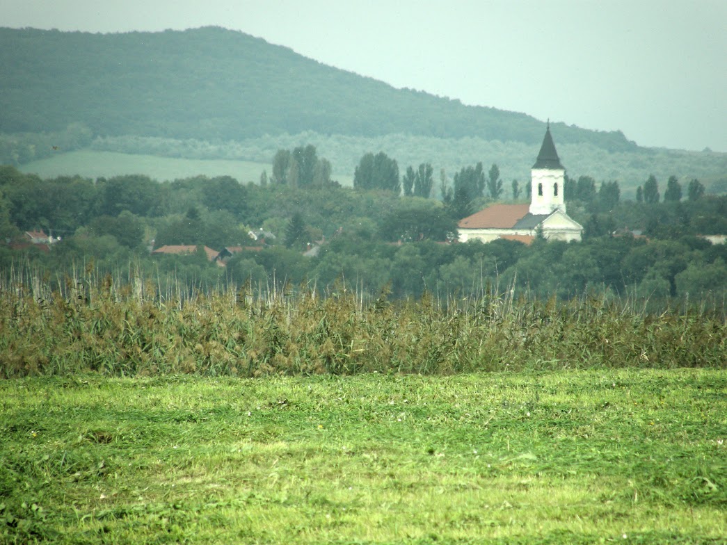 Velenceitó