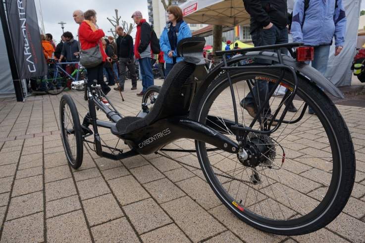 carbontrike-pedelec-2013