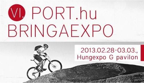 Bringaexpo_2013