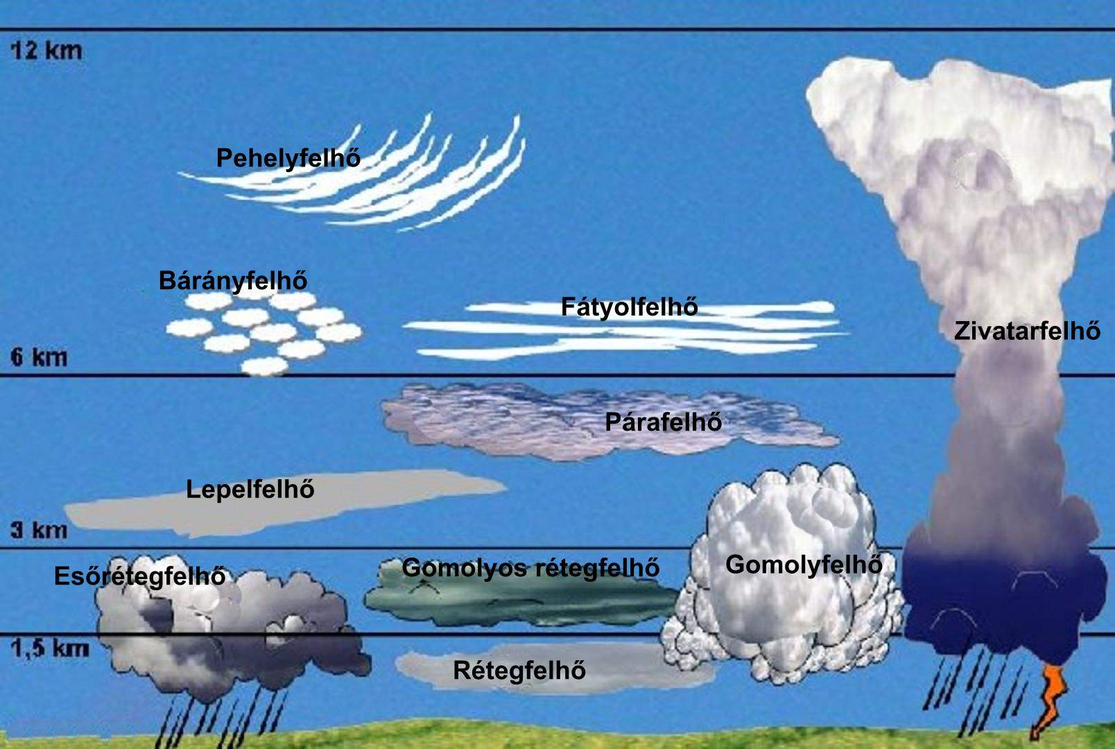 Felhtpusok