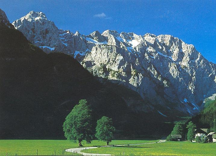 Logarska dolina2