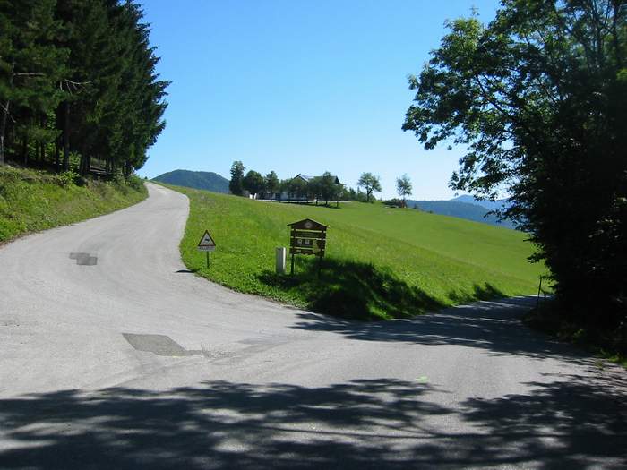 Felfele az Ebenwaldhaushoz