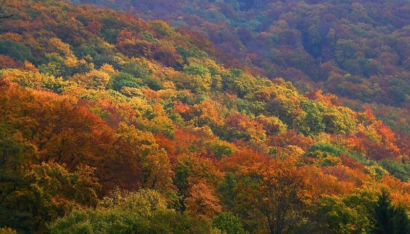 autumn in the bukk