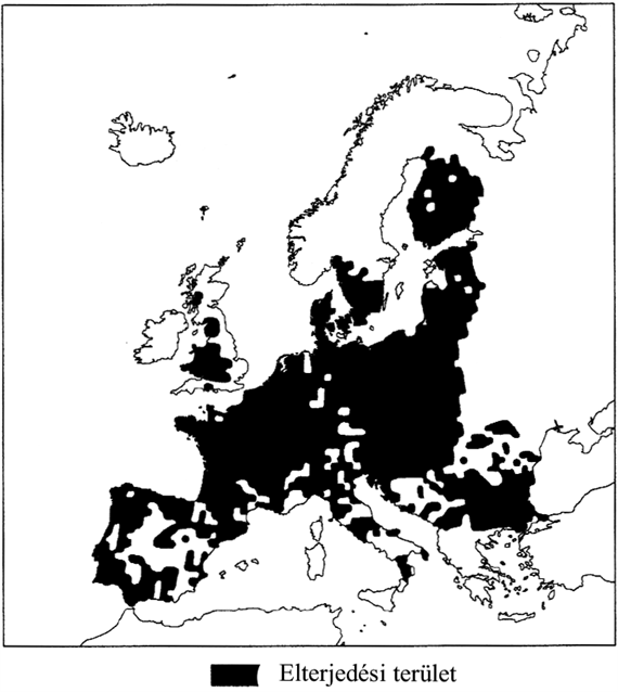 goreny elterjedes