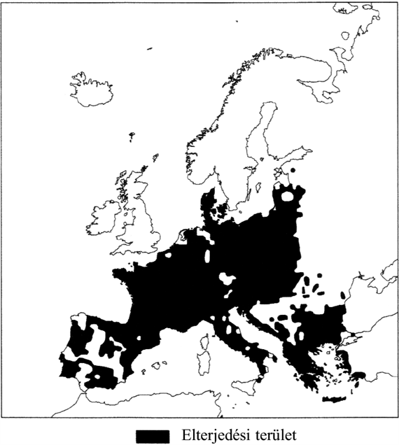 nyest elterjedes