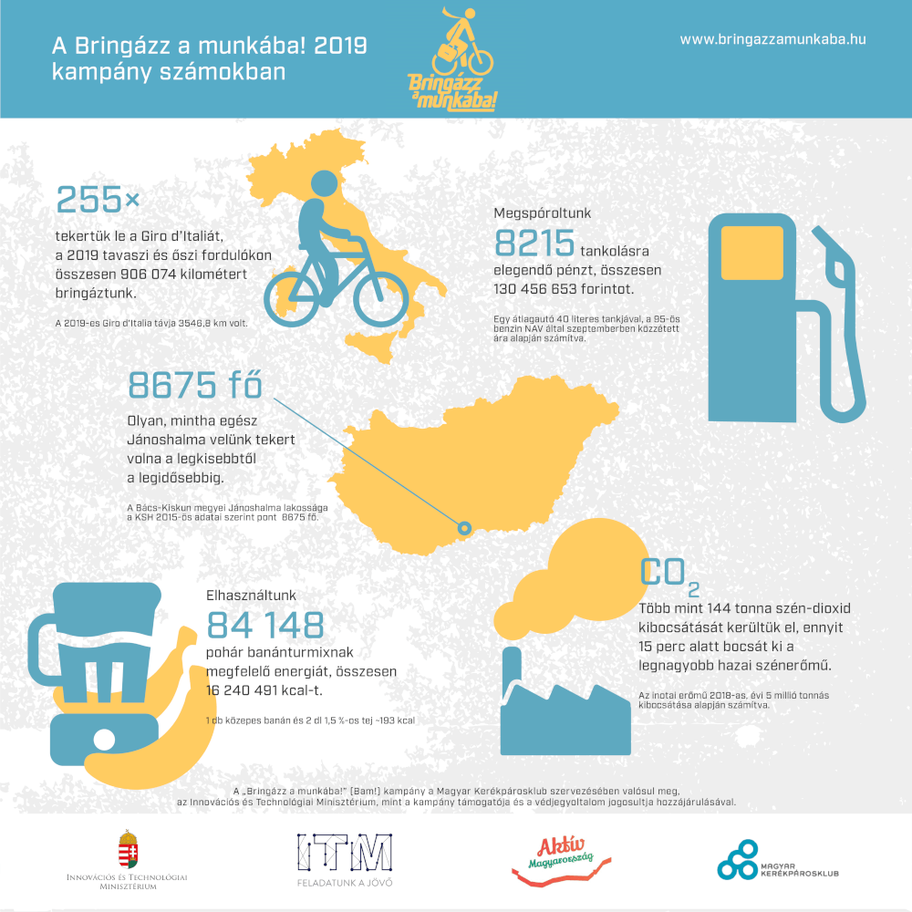 bam infografika 2019 osz eredmenyek1