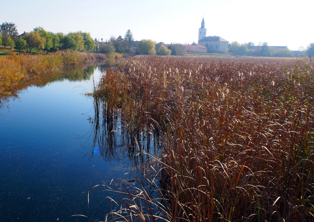 tisza to